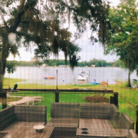 Meet your Posher, Rose - Picture 3 of 5